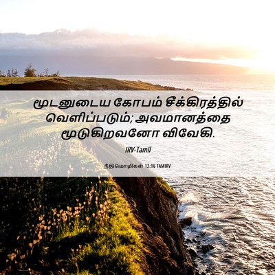 Picture 06 - நீதிமொழிகள் 12:16 TAMIRV - மூடனுடைய கோபம் - Bible Verse Picture