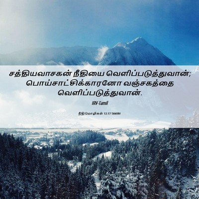 Picture 06 - நீதிமொழிகள் 12:17 TAMIRV - சத்தியவாசகன் - Bible Verse Picture