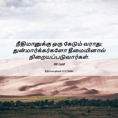 Picture 06 - நீதிமொழிகள் 12:21 TAMIRV - நீதிமானுக்கு ஒரு - Bible Verse Picture