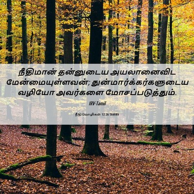 Picture 06 - நீதிமொழிகள் 12:26 TAMIRV - நீதிமான் தன்னுடைய - Bible Verse Picture