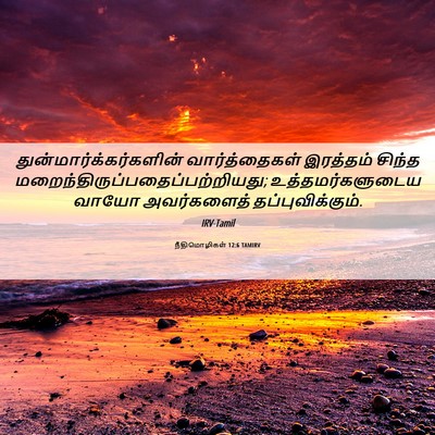 Picture 06 - நீதிமொழிகள் 12:6 TAMIRV -  - Bible Verse Picture