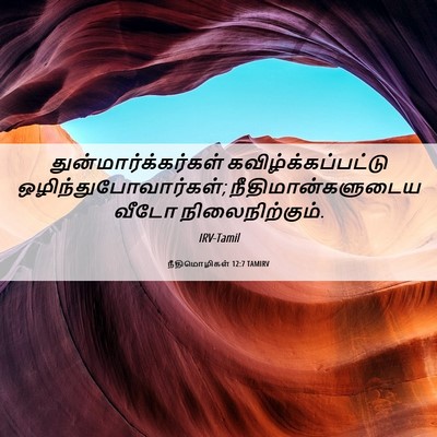 Picture 06 - நீதிமொழிகள் 12:7 TAMIRV - துன்மார்க்கர்கள் - Bible Verse Picture
