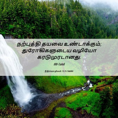 Picture 06 - நீதிமொழிகள் 13:15 TAMIRV - நற்புத்தி தயவை - Bible Verse Picture