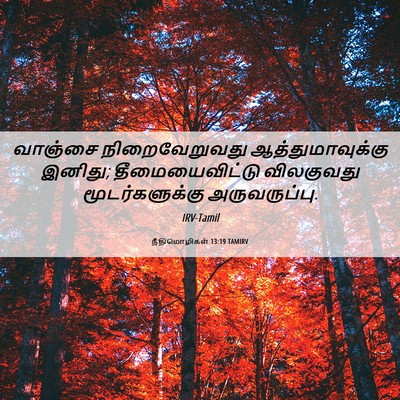 Picture 06 - நீதிமொழிகள் 13:19 TAMIRV - வாஞ்சை - Bible Verse Picture