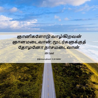Picture 06 - நீதிமொழிகள் 13:20 TAMIRV - ஞானிகளோடு - Bible Verse Picture