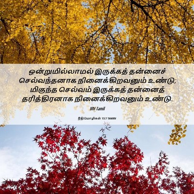 Picture 06 - நீதிமொழிகள் 13:7 TAMIRV - ஒன்றுமில்லாமல் - Bible Verse Picture