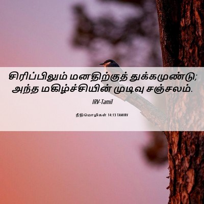 Picture 06 - நீதிமொழிகள் 14:13 TAMIRV - சிரிப்பிலும் - Bible Verse Picture