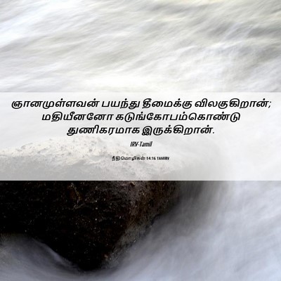 Picture 06 - நீதிமொழிகள் 14:16 TAMIRV - ஞானமுள்ளவன் - Bible Verse Picture
