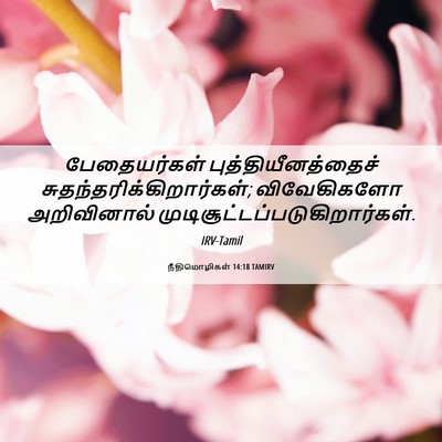 Picture 06 - நீதிமொழிகள் 14:18 TAMIRV - பேதையர்கள் - Bible Verse Picture