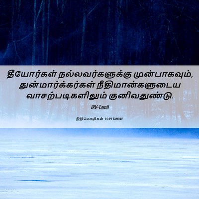 Picture 06 - நீதிமொழிகள் 14:19 TAMIRV - தீயோர்கள் - Bible Verse Picture
