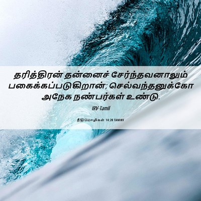 Picture 06 - நீதிமொழிகள் 14:20 TAMIRV - தரித்திரன் - Bible Verse Picture
