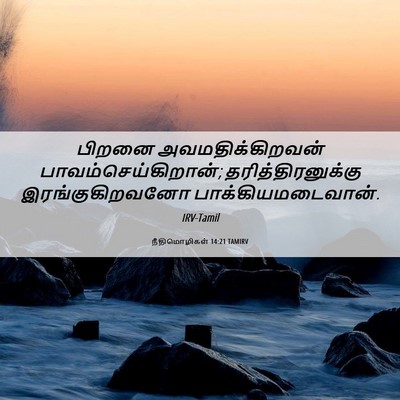 Picture 06 - நீதிமொழிகள் 14:21 TAMIRV - பிறனை - Bible Verse Picture