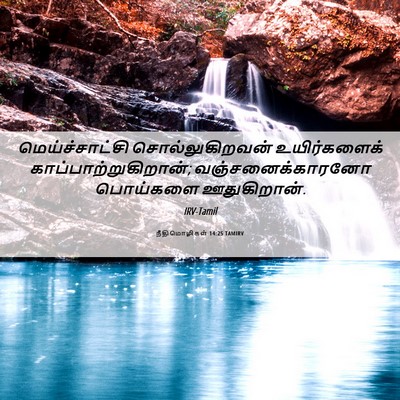Picture 06 - நீதிமொழிகள் 14:25 TAMIRV - மெய்ச்சாட்சி - Bible Verse Picture