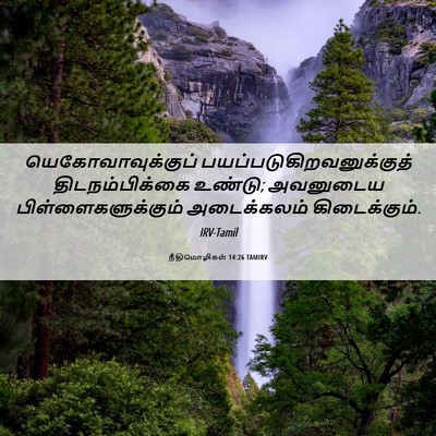 Picture 06 - நீதிமொழிகள் 14:26 TAMIRV - யெகோவாவுக்குப் - Bible Verse Picture
