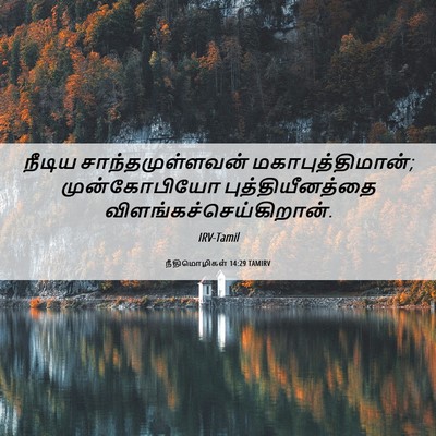 Picture 06 - நீதிமொழிகள் 14:29 TAMIRV - நீடிய - Bible Verse Picture