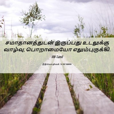Picture 06 - நீதிமொழிகள் 14:30 TAMIRV - சமாதானத்துடன் - Bible Verse Picture