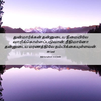 Picture 06 - நீதிமொழிகள் 14:32 TAMIRV - துன்மார்க்கன் - Bible Verse Picture