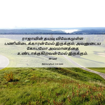 Picture 06 - நீதிமொழிகள் 14:35 TAMIRV - ராஜாவின் தயவு - Bible Verse Picture