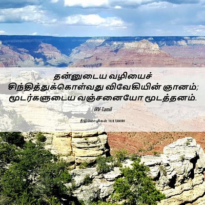 Picture 06 - நீதிமொழிகள் 14:8 TAMIRV - தன்னுடைய வழியைச் - Bible Verse Picture