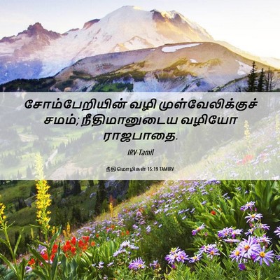 Picture 06 - நீதிமொழிகள் 15:19 TAMIRV - சோம்பேறியின் வழி - Bible Verse Picture