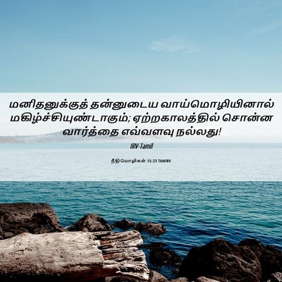 Picture 06 - நீதிமொழிகள் 15:23 TAMIRV - மனிதனுக்குத் - Bible Verse Picture