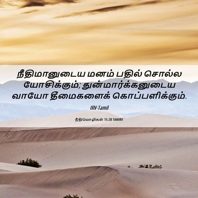 Picture 06 - நீதிமொழிகள் 15:28 TAMIRV - நீதிமானுடைய மனம் - Bible Verse Picture