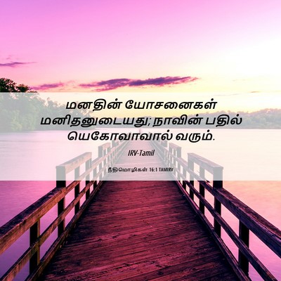 Picture 06 - நீதிமொழிகள் 16:1 TAMIRV - மனதின் யோசனைகள் - Bible Verse Picture