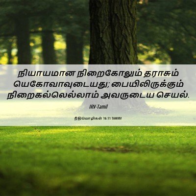 Picture 06 - நீதிமொழிகள் 16:11 TAMIRV - நியாயமான - Bible Verse Picture