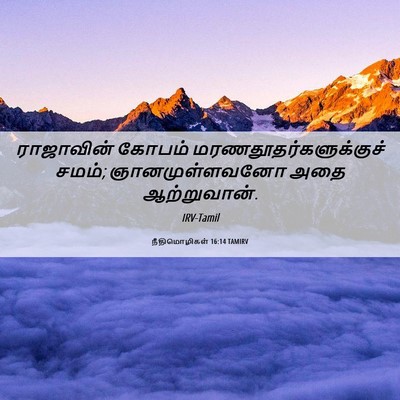 Picture 06 - நீதிமொழிகள் 16:14 TAMIRV - ராஜாவின் கோபம் - Bible Verse Picture