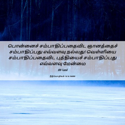 Picture 06 - நீதிமொழிகள் 16:16 TAMIRV - பொன்னைச் - Bible Verse Picture