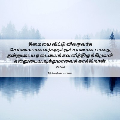 Picture 06 - நீதிமொழிகள் 16:17 TAMIRV - தீமையை விட்டு - Bible Verse Picture