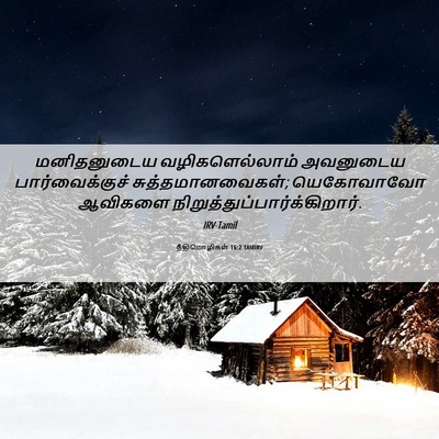Picture 06 - நீதிமொழிகள் 16:2 TAMIRV - மனிதனுடைய - Bible Verse Picture