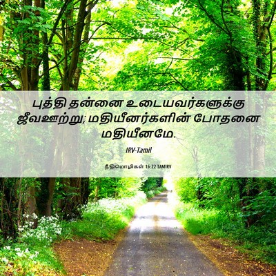 Picture 06 - நீதிமொழிகள் 16:22 TAMIRV - புத்தி தன்னை - Bible Verse Picture