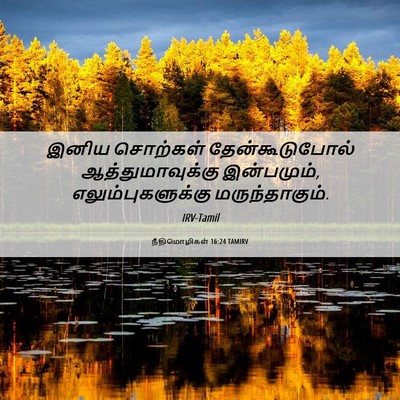 Picture 06 - நீதிமொழிகள் 16:24 TAMIRV - இனிய சொற்கள் - Bible Verse Picture