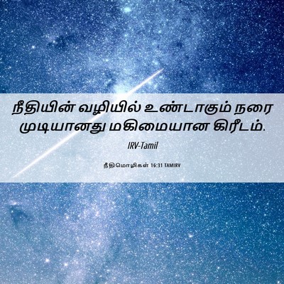 Picture 06 - நீதிமொழிகள் 16:31 TAMIRV - நீதியின் வழியில் - Bible Verse Picture