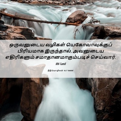 Picture 06 - நீதிமொழிகள் 16:7 TAMIRV - ஒருவனுடைய வழிகள் - Bible Verse Picture