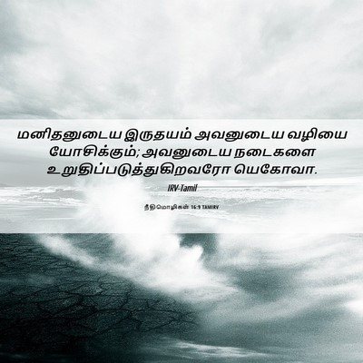 Picture 06 - நீதிமொழிகள் 16:9 TAMIRV - மனிதனுடைய இருதயம் - Bible Verse Picture