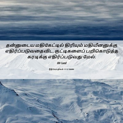 Picture 06 - நீதிமொழிகள் 17:12 TAMIRV - தன்னுடைய - Bible Verse Picture
