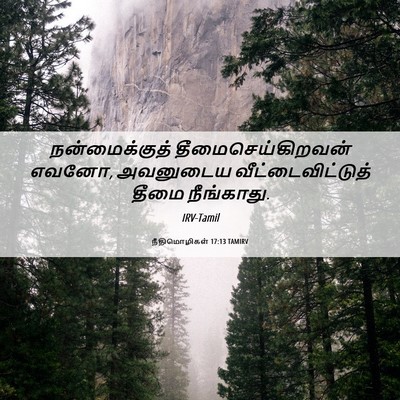 Picture 06 - நீதிமொழிகள் 17:13 TAMIRV - நன்மைக்குத் - Bible Verse Picture
