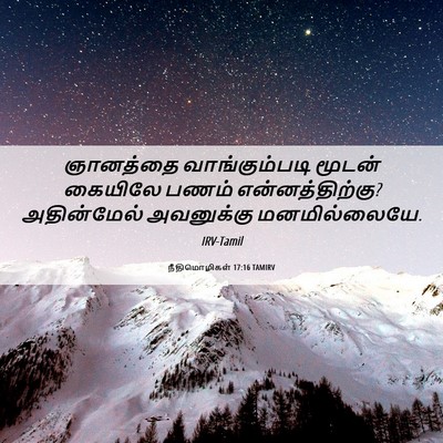 Picture 06 - நீதிமொழிகள் 17:16 TAMIRV - ஞானத்தை - Bible Verse Picture