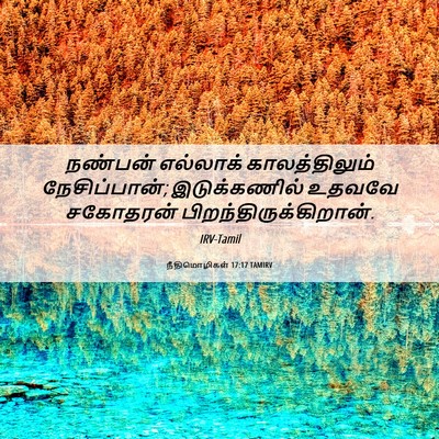Picture 06 - நீதிமொழிகள் 17:17 TAMIRV - நண்பன் எல்லாக் - Bible Verse Picture