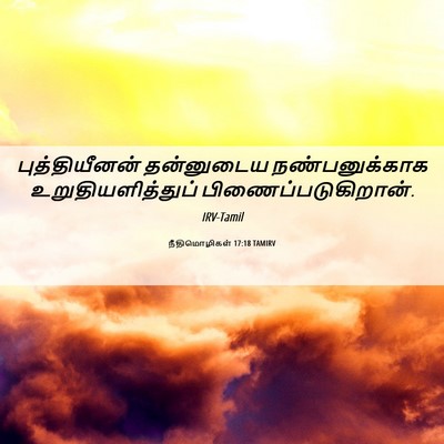 Picture 06 - நீதிமொழிகள் 17:18 TAMIRV - புத்தியீனன் - Bible Verse Picture