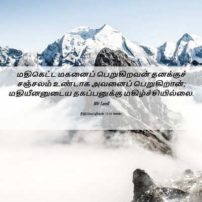 Picture 06 - நீதிமொழிகள் 17:21 TAMIRV - மதிகெட்ட மகனைப் - Bible Verse Picture
