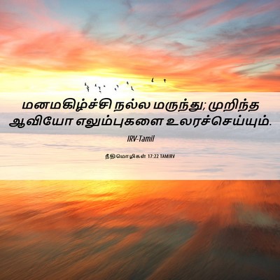 Picture 06 - நீதிமொழிகள் 17:22 TAMIRV - மனமகிழ்ச்சி நல்ல - Bible Verse Picture