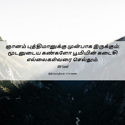 Picture 06 - நீதிமொழிகள் 17:24 TAMIRV - ஞானம் - Bible Verse Picture