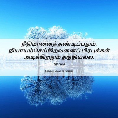 Picture 06 - நீதிமொழிகள் 17:26 TAMIRV - நீதிமானைத் - Bible Verse Picture