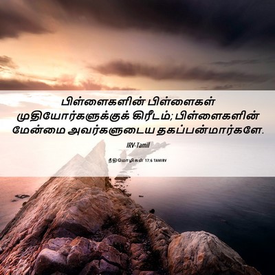 Picture 06 - நீதிமொழிகள் 17:6 TAMIRV - பிள்ளைகளின் - Bible Verse Picture
