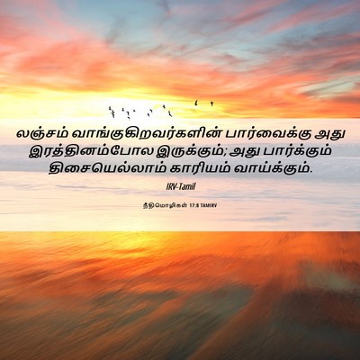 Picture 06 - நீதிமொழிகள் 17:8 TAMIRV - லஞ்சம் - Bible Verse Picture
