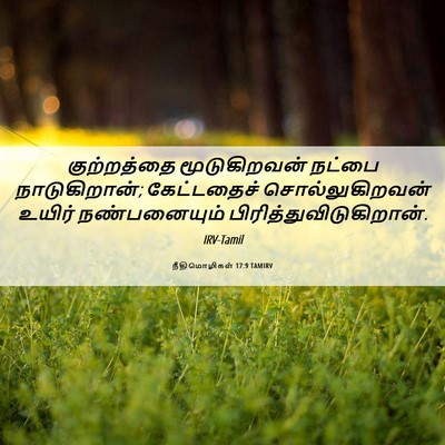 Picture 06 - நீதிமொழிகள் 17:9 TAMIRV - குற்றத்தை - Bible Verse Picture