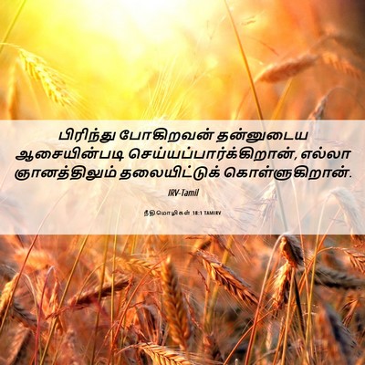 Picture 06 - நீதிமொழிகள் 18:1 TAMIRV - பிரிந்து போகிறவன் - Bible Verse Picture